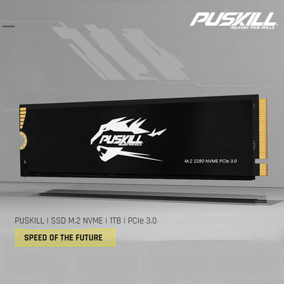 interno Puskill Puskill SSD PSK-M2SSDP34-1024G 1TB negro