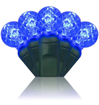 Extensión 70 Luces Navideñas Led Wintergreen Lighting 24