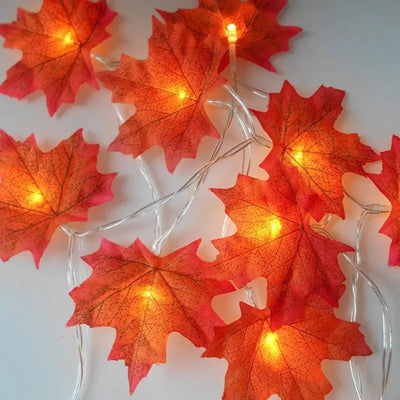 Extensión 20 Luces Navideñas Led Esho 3 Metros