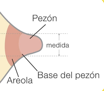 Medela Pezonera Protector 24mm 24 Mm