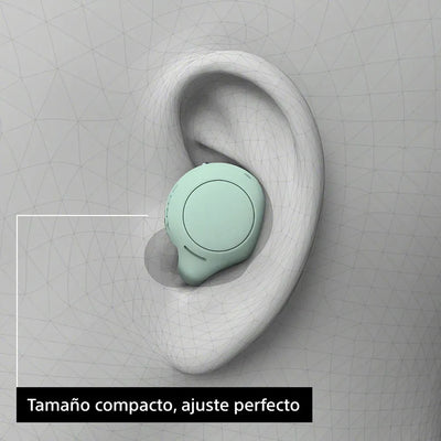 Audífonos Sony True Wireless | WF-C500