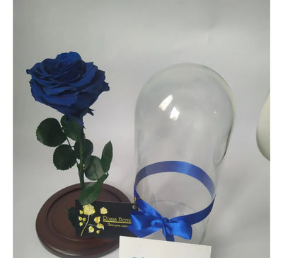 Rosa Preservada Regalo Cúpula Vidrio Color Rosa + Ferrero - Todos