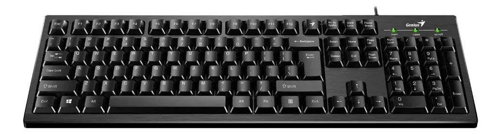 Teclado Genius KB-100 USB Negro