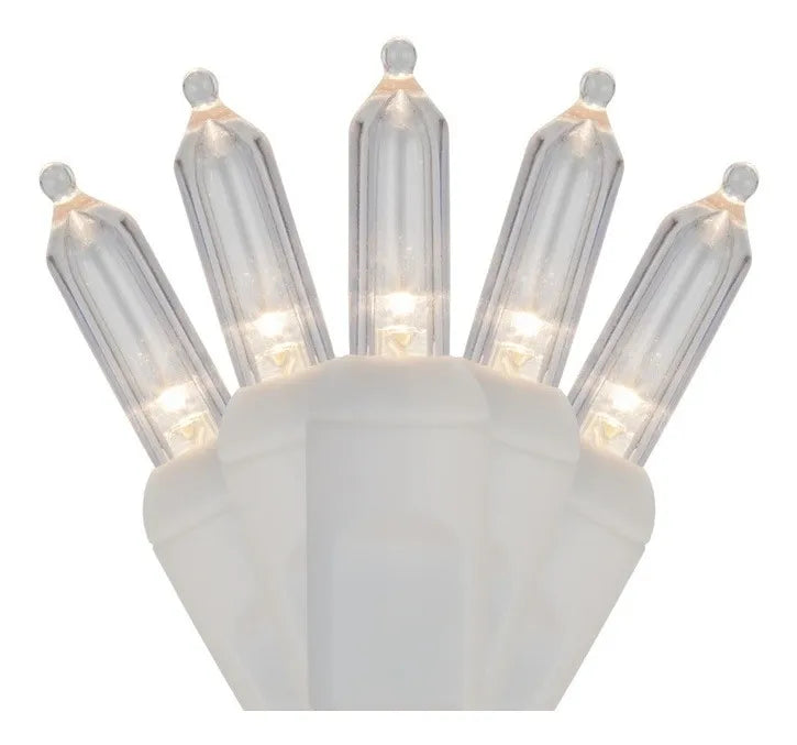 Extensión 50 Luces Navideñas Led Wintergreen Lighting