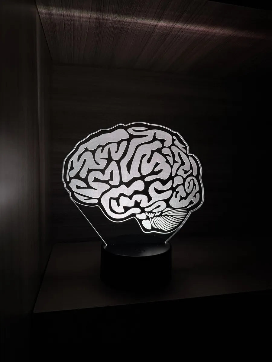 Lámpara De Noche Led Cerebro Decoración Regalo Holograma Negra
