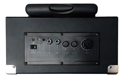 Parlante Bluetooth Portatil Polaroid Party Karaoke Led Bt