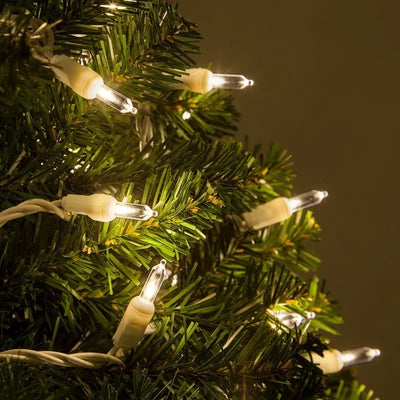 Extensión 50 Luces Navideñas Led Wintergreen Lighting