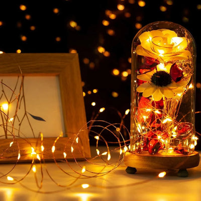 Set 2 Extensiones 100 Luces Navideñas Led Qishi 33 Pies