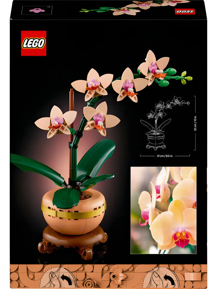 LEGO® Botanicals Miniorquídea, Set de Construcción Floral, Flor de la Colección Botánica, Idea de Regalo para Mujeres, Hombres y Madres, Perfecto para San Valentín y Ocasiones Especiales 10343