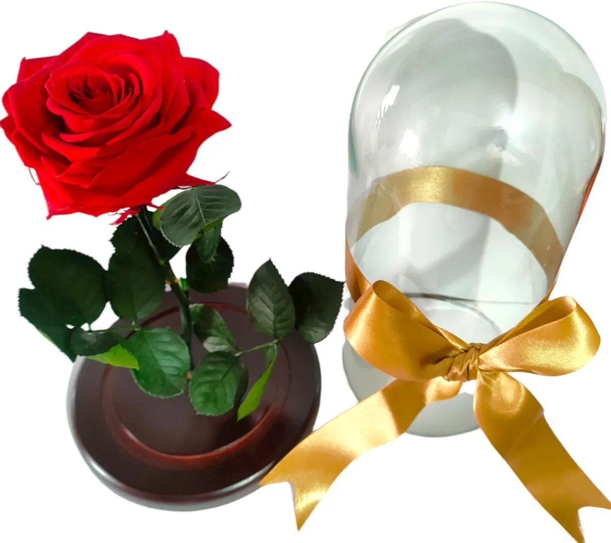 Rosa Preservada Regalo Cúpula Vidrio Color Rosa + Ferrero - Todos