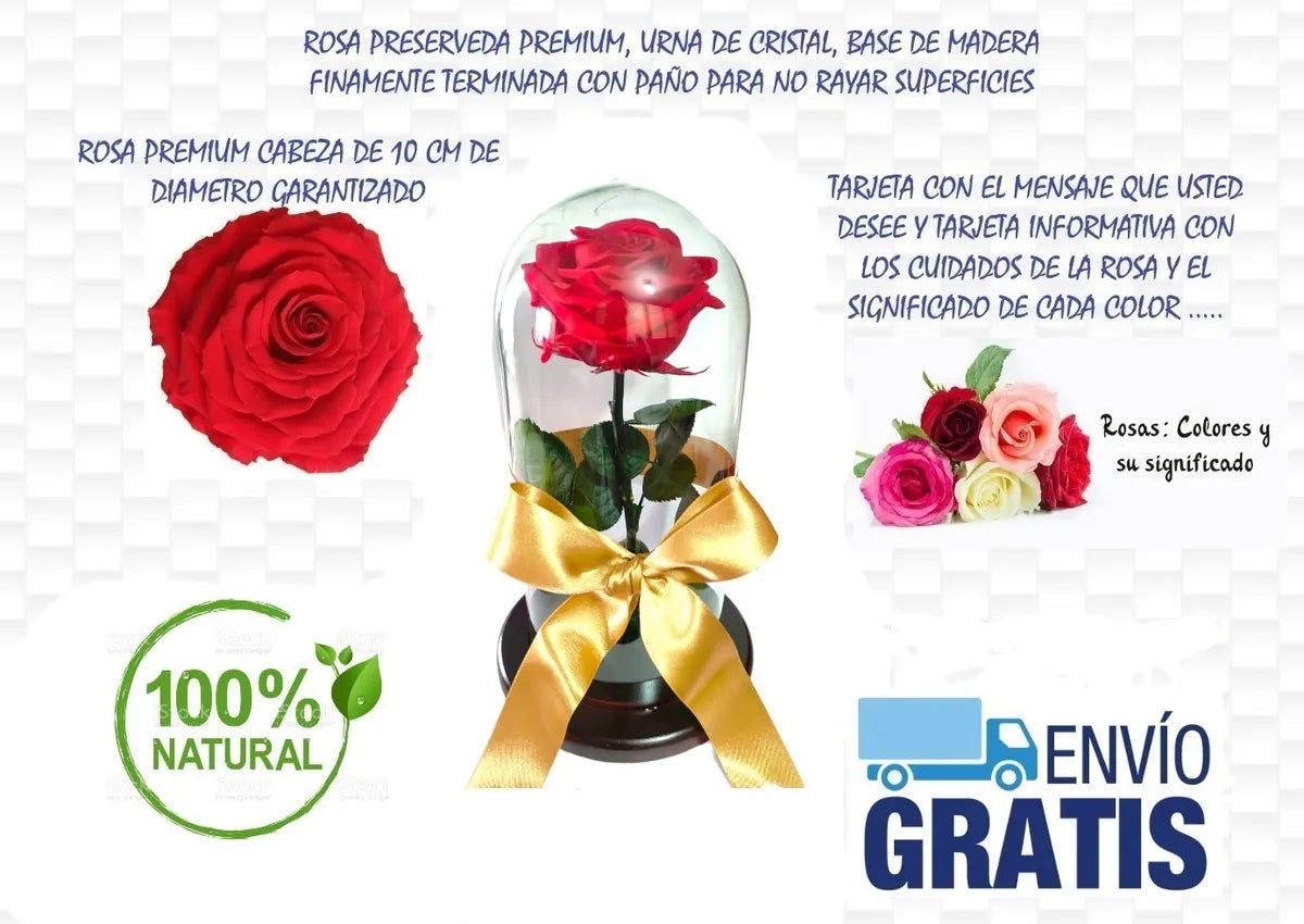 Rosa Preservada Regalo Cúpula Vidrio Color Rosa + Ferrero - Todos