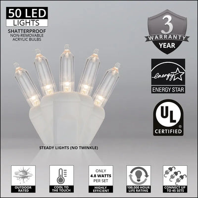 Extensión 50 Luces Navideñas Led Wintergreen Lighting