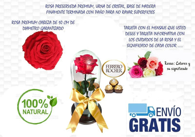 Rosa Preservada Regalo Cúpula Vidrio Color Rojo + Tarjeta - Todos
