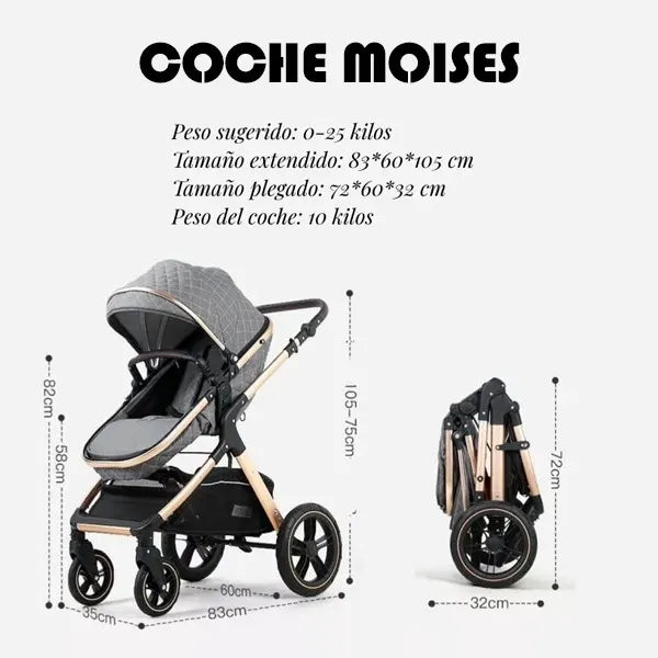 Baby on Coche Bebé Tipo Moises Paragüitas 3 en 1 en Aluminio y Accesorios Color Gris