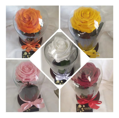 Regalo Dia De La Madre Rosa Preservada 29 Cm Alto + Obsequio Todos
