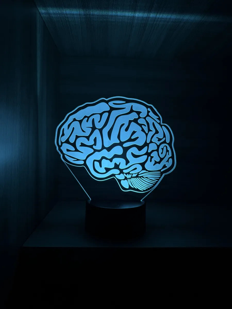 Lámpara De Noche Led Cerebro Decoración Regalo Holograma Negra