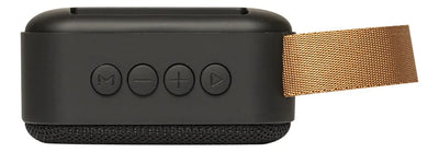 Parlante Laney LSS-45 portátil con bluetooth negra