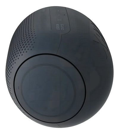 Parlante LG XBOOM Go PL2 portátil con bluetooth waterproof negra