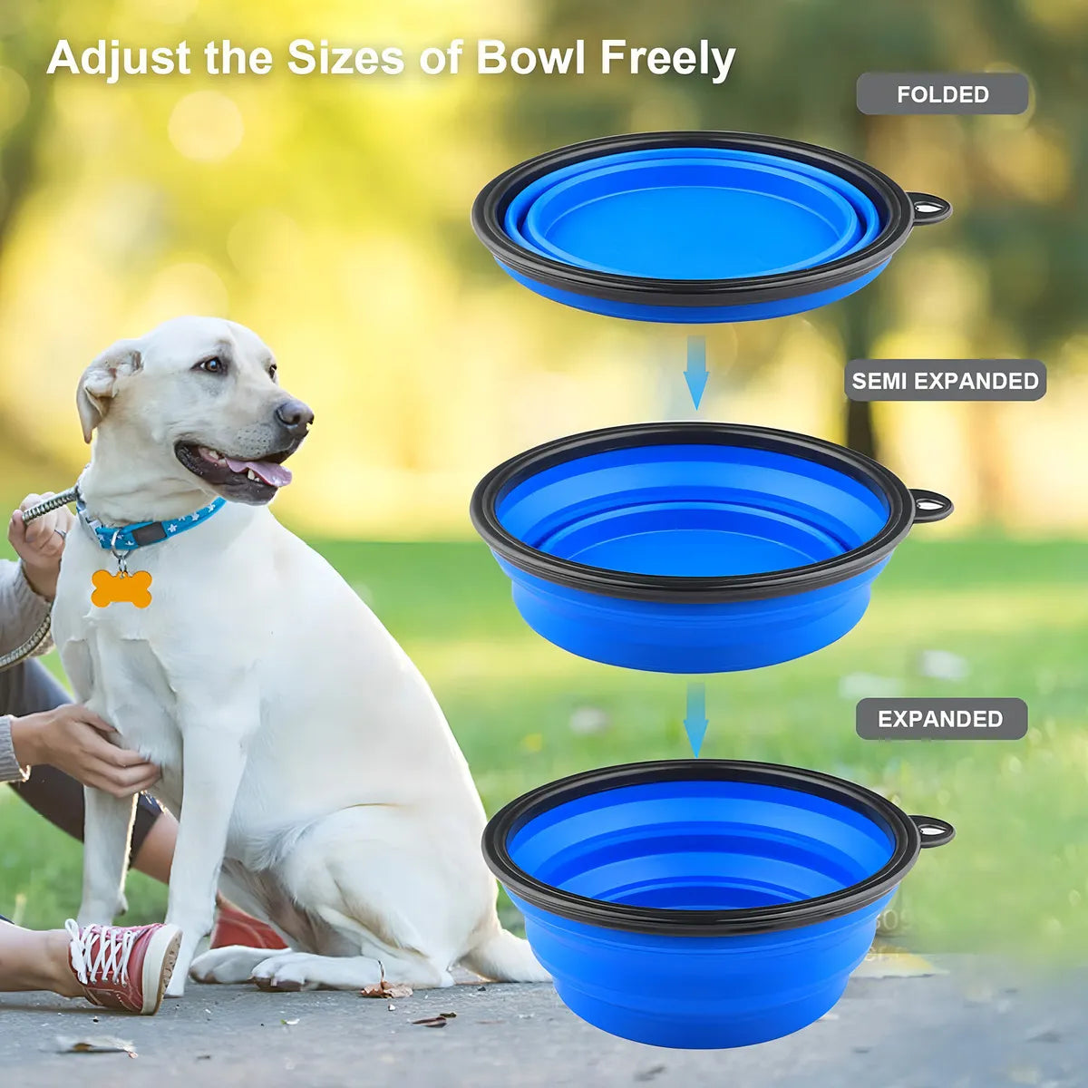 Plato De Goma Plegable Portátil De Mascotas Perro Y Gato Color Azul
