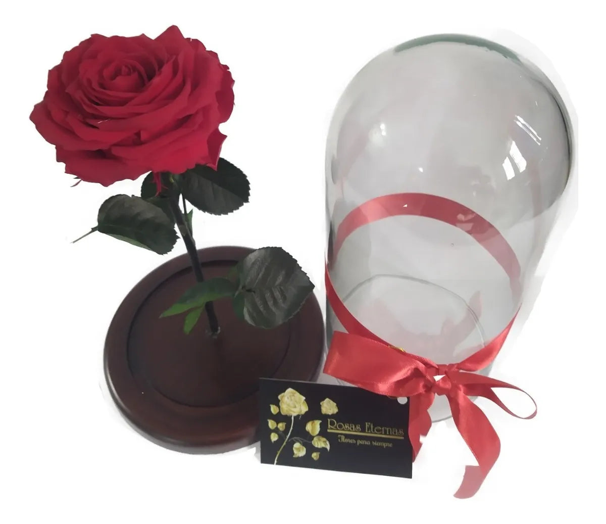 Rosa Preservada Regalo Cúpula Vidrio Color Rojo + Tarjeta - Todos