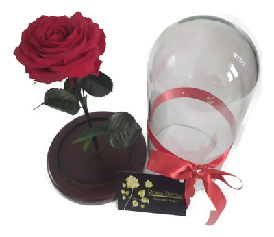 Rosa Preservada Regalo Cúpula Vidrio Color Rojo + Tarjeta - Todos