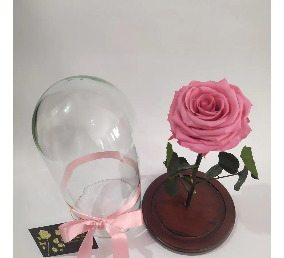 Rosa Preservada Regalo Cúpula Vidrio Color Rosa + Ferrero - Todos