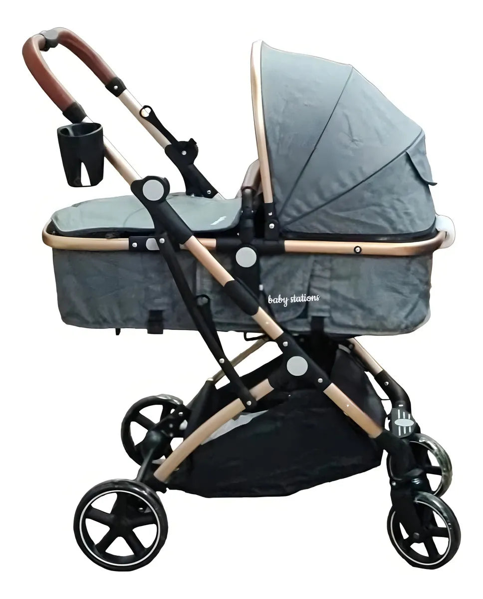 Coche de paseo Maxi Baby Moises Moises gris