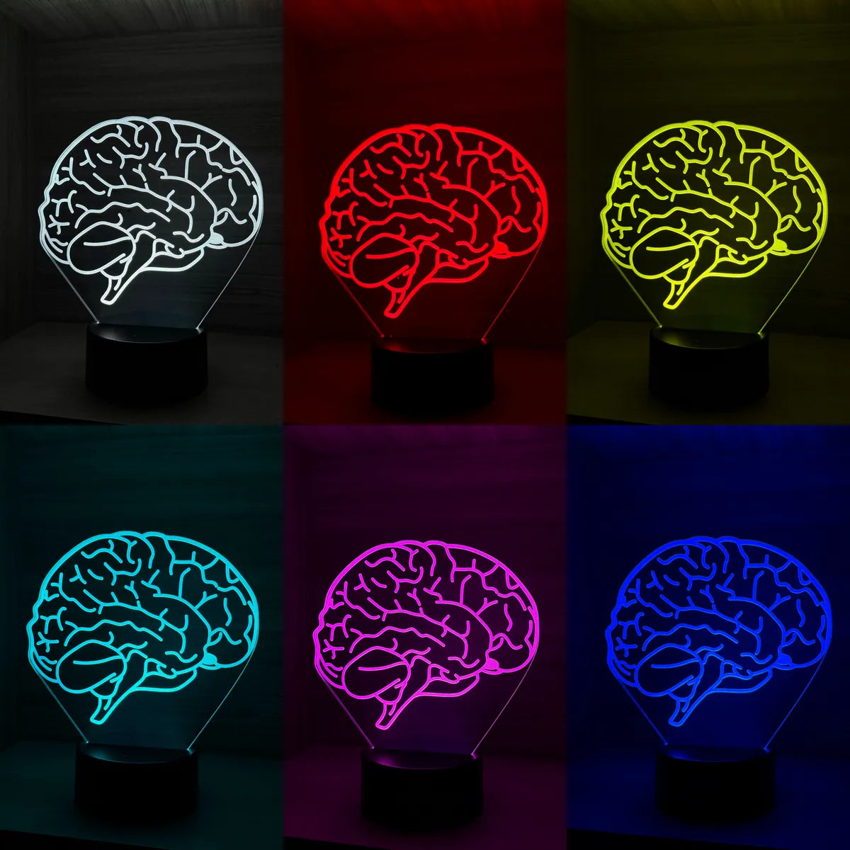 Lámpara De Noche Led Cerebro Regalo Decoración Holograma Negro