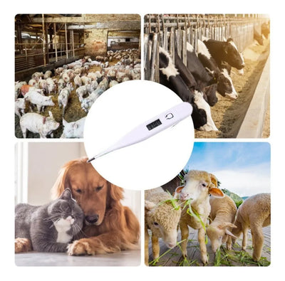 Termómetro Digital Electrónico Para Mascotas Perros Gatos