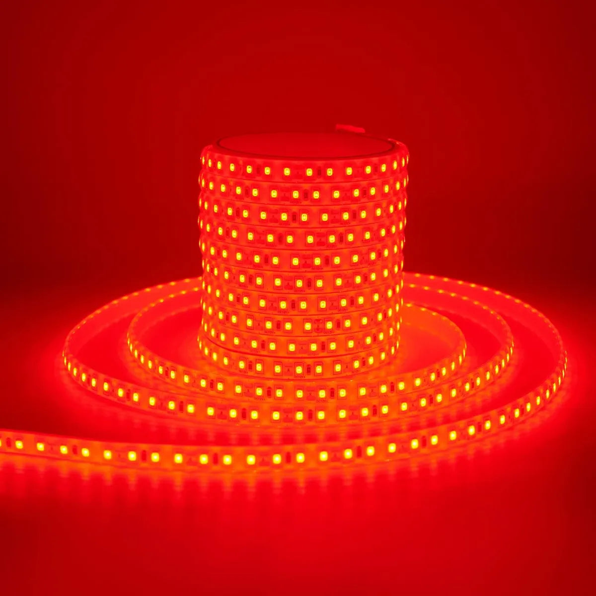 Manguera Navideña Plana Roja 60 Led Mt Rollo 50mt 110v Ip65 Rojo