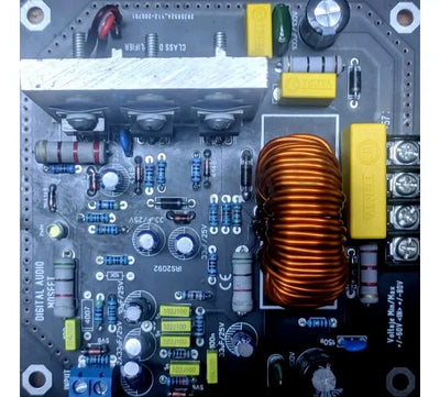 Tarjeta Amplificador De Sonido Clase D