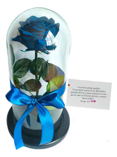 Rosa Preservada Regalo Cúpula Vidrio Color Rosa + Ferrero - Todos