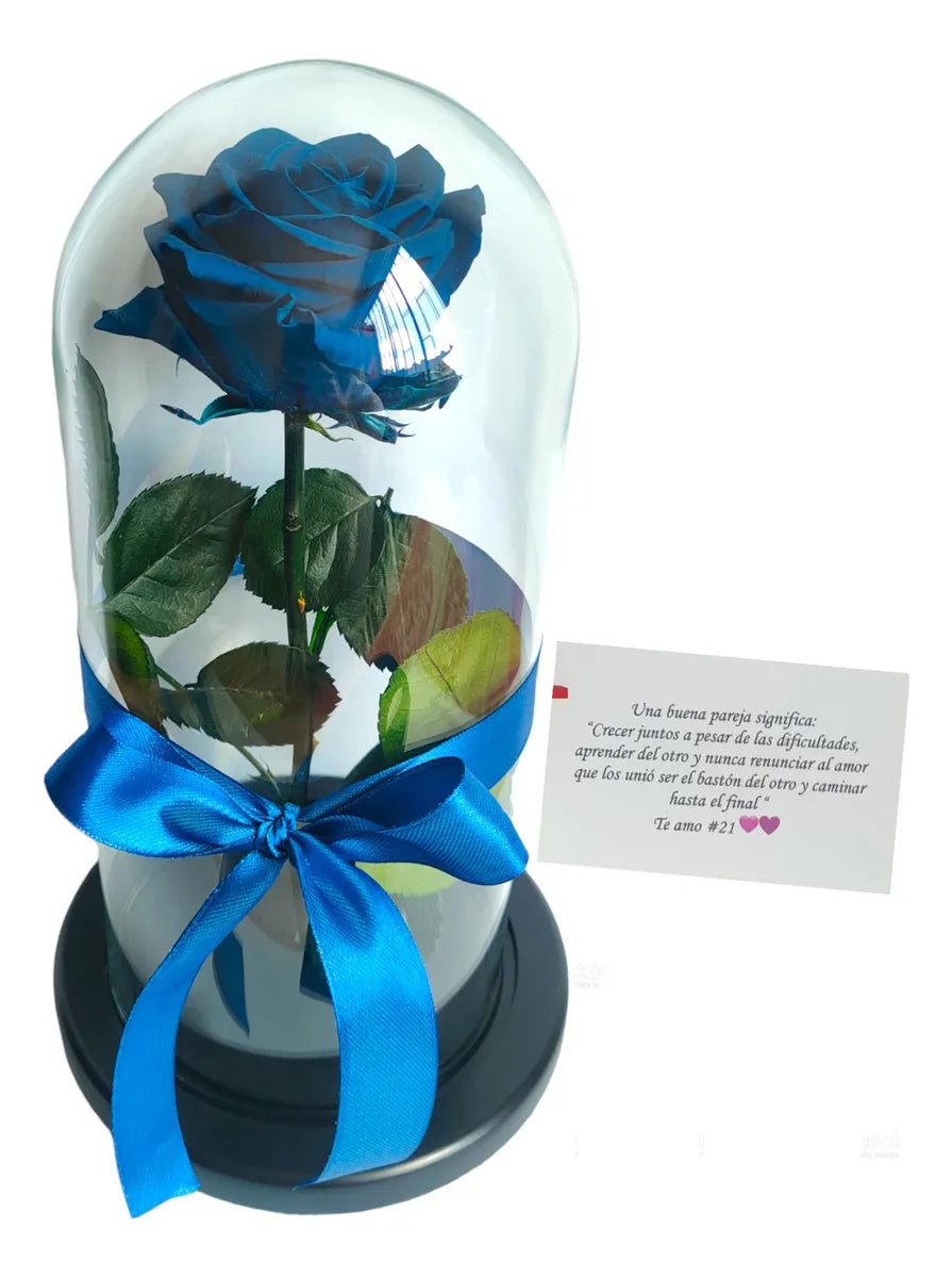 Rosa Preservada Regalo Cúpula Vidrio Color Rosa + Ferrero - Todos