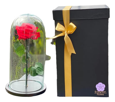 Rosa Preservada Cúpula Vidrio Y Caja Regalo Color Rojo
