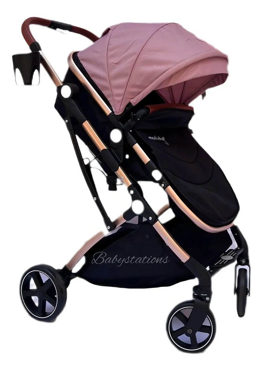 Coche de paseo Maxi Baby Moises Moises coral