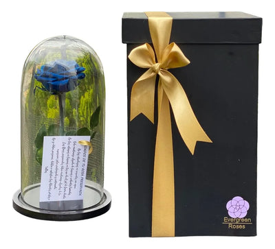 Rosa Preservada Cúpula Vidrio Caja Regalo Color Azul Oscuro