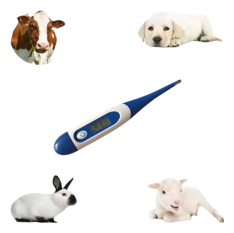 Termómetro Digital Electrónico Para Mascotas Perros Gatos
