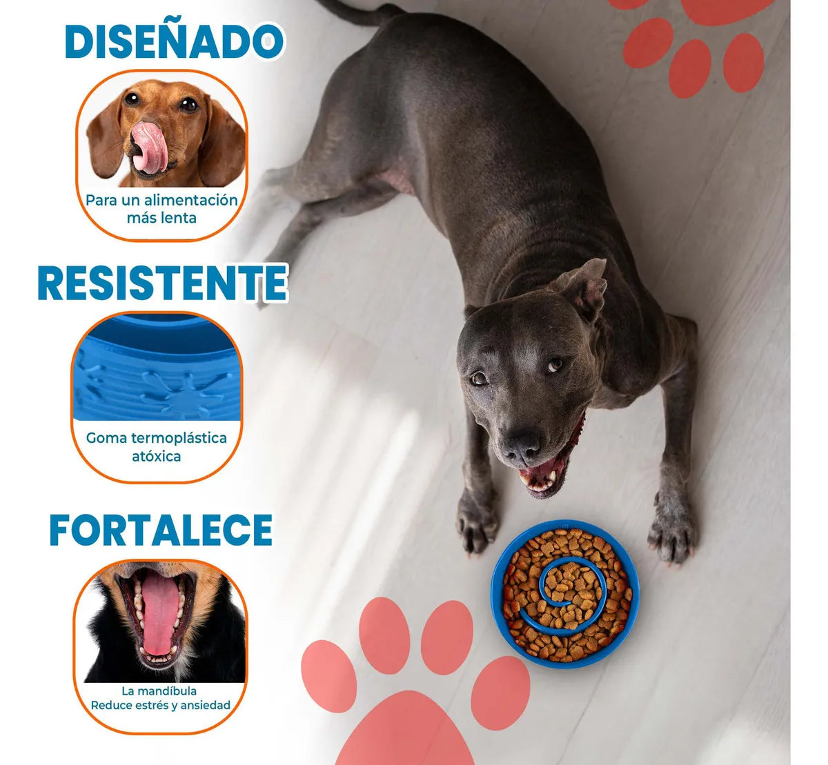 Plato Comedero Azul para Perros con Diseño Anti-Ansiedad, Goma Atóxica Antideslizante, Ideal para Comer Lento y Mejorar la Digestión de tu Mascota.