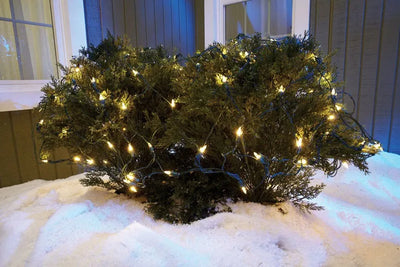 Extensión 100 Luces Navideñas Led Celebrations