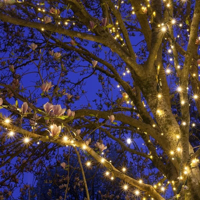 Extensión 50 Mini Luces Navideñas Led Kringle Traditions