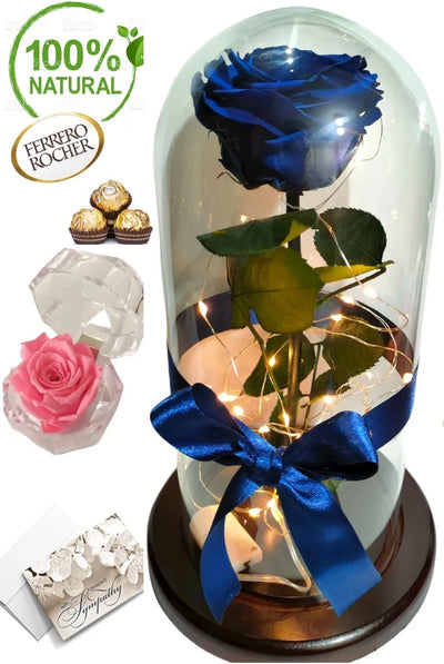 Regalo Dia De La Madre Rosa Preservada 29 Cm Alto + Obsequio Todos