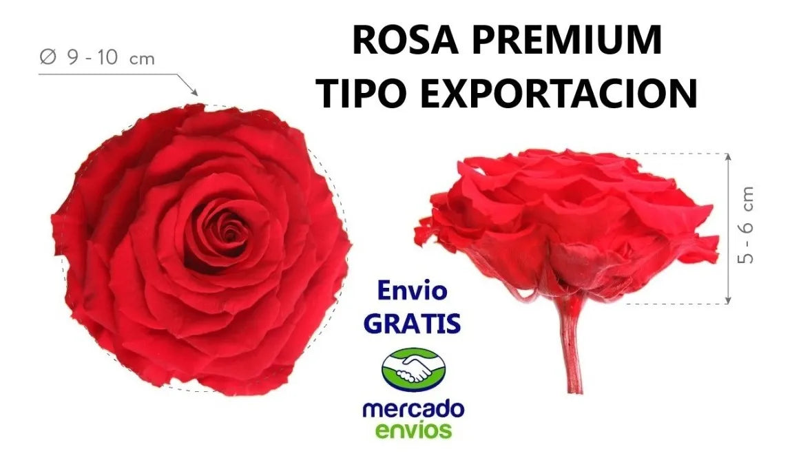 Regalo Dia De La Madre Rosa Preservada 29 Cm Alto + Obsequio Todos
