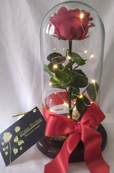 Rosa Preservada 100% Natural 29 Cm + Luz + Caja Regalo + Env - Todos