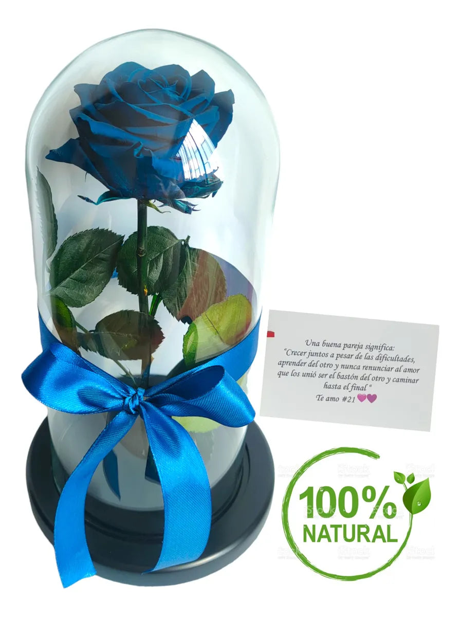Rosa Preservada Regalo Cúpula Vidrio Color Rosa + Ferrero - Todos