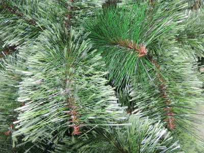 Árbol De Navidad Pino Siberia 2.10 Metros Verde