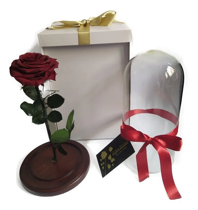 Rosa Preservada 100% Natural 29 Cm + Luz + Caja Regalo + Env - Todos
