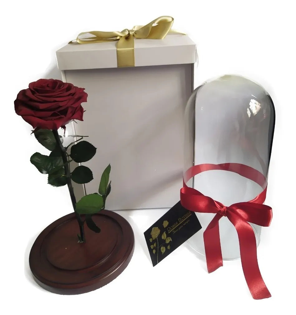 Rosa Preservada 100% Natural 29 Cm + Luz + Caja Regalo + Env - Todos
