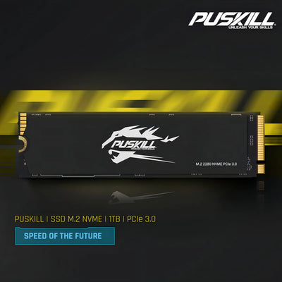 interno Puskill Puskill SSD PSK-M2SSDP34-1024G 1TB negro