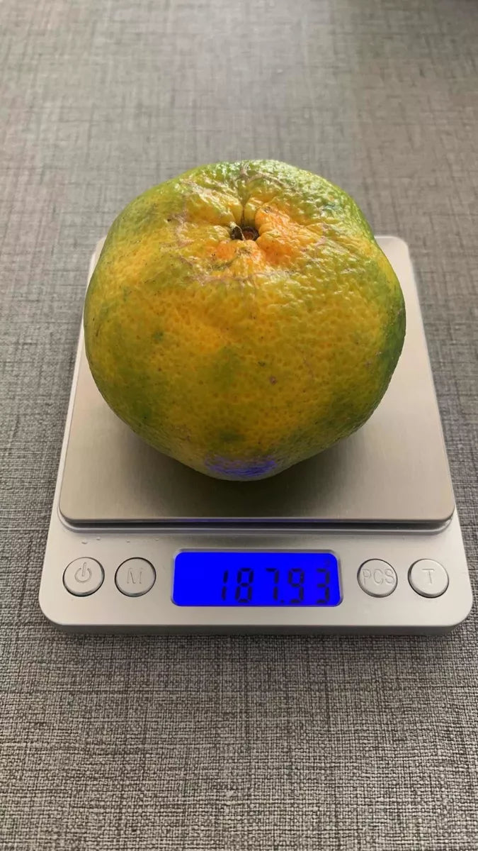 Pesa Bascula Gramera Digital Balanza 500g