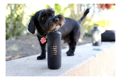 Parlante JBL Flip 6 JBLFLIP6BLKAM portátil con bluetooth waterproof negra